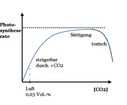 Ab 0 15 Vol Co2 Gehalt Verminderung Fotosyntheseleistung Warum Schule Biologie Pflanzen Ab 0 15 Vol Co2 Gehalt Verminderung Fotosyntheseleistung Warum Schule Biologie Pflanzen