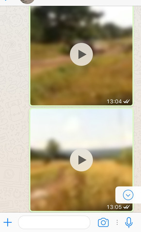 Aaa - (WhatsApp, wiederherstellen)
