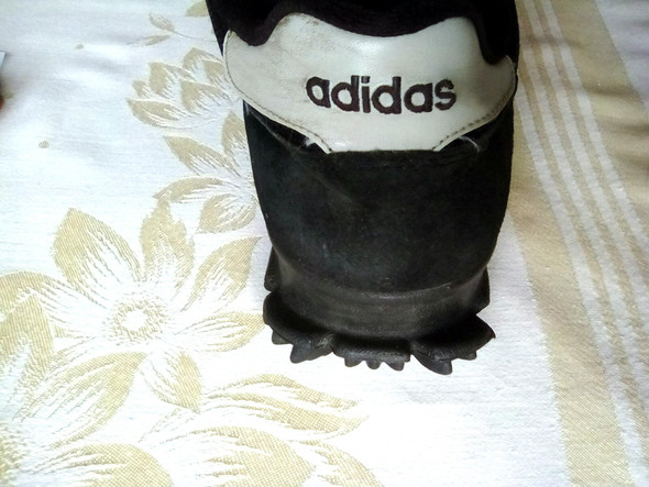 - (Schule, Sport, Mode)