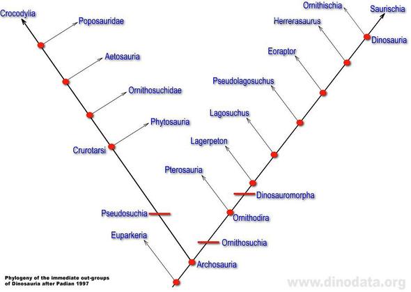 Bedeutung und Übersetzung des Begriffes 