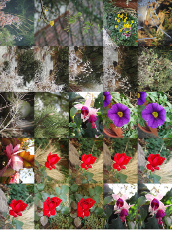 Fotocollage Mit 25 Bildern Moglichst Schnell Erstellen Computer Bilder Foto