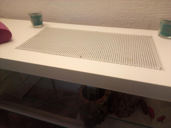 - (Tiere, Hamster, Möbel)