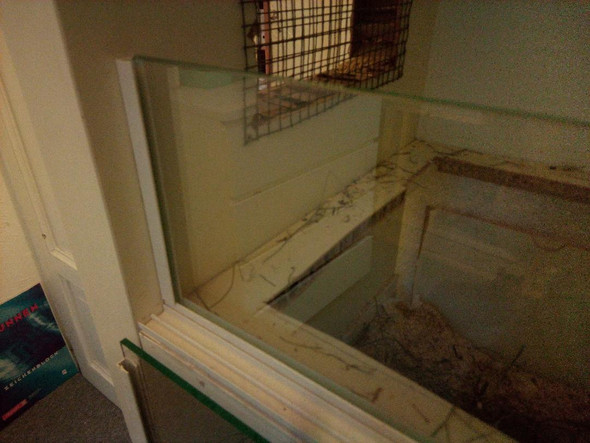 - (Tiere, Hamster, Möbel)