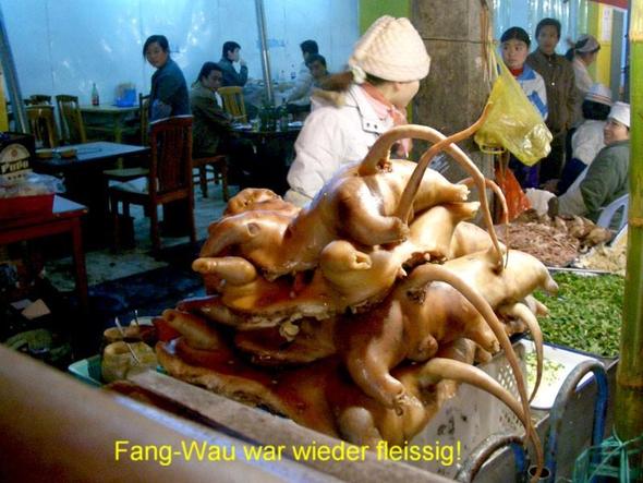 In welchem Land isst man Hunde? (essen, Hund, Länder)
