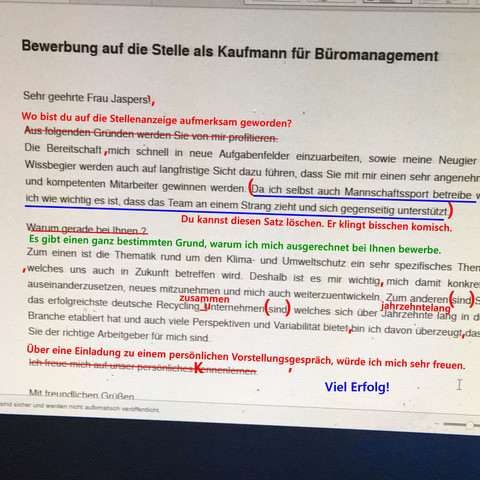 - (Bewerbung, Fehler)
