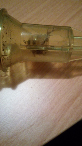 - (Wasser, Fische, Aquarium)