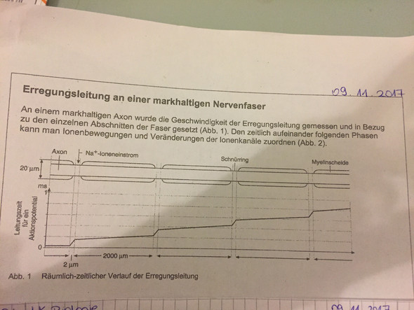 - (Schule, Sprache, Politik)