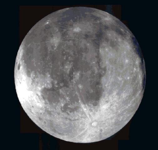 Get Freundschaft baum sprueche For iPhone Freundschaft Baum Sprueche