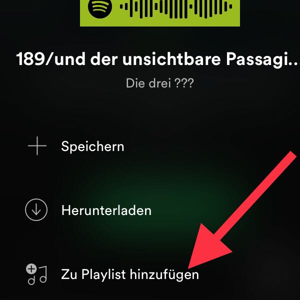 Wie Kann Man Auf Spotify Lieder Runterladen