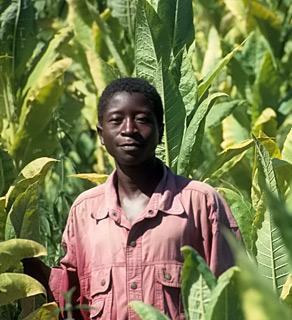 Afrikaner in Malawi - (Genetik, Afrika, Sonnenbrand)