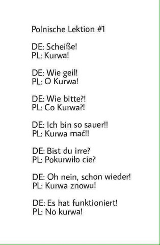 "Kurwa" übersetzen: Was bedeutet der polnische Begriff auf Deutsch? "Kurwa" übersetzen: Was bedeutet der polnische Begriff auf Deutsch?