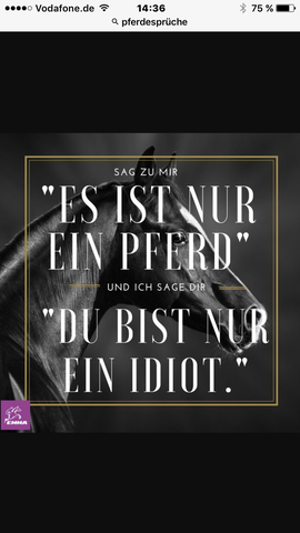 Spruche Spruche Pferde