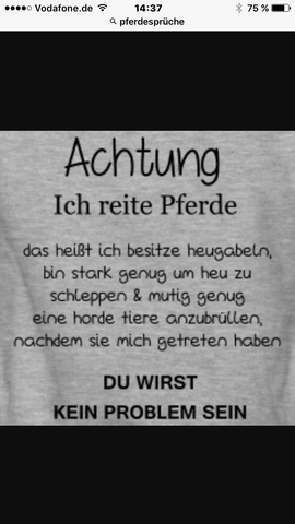 Download Vertrauen pferde sprueche zum nachdenken Desktop Wallpaper Vertrauen Pferde Sprueche Zum Nachdenken