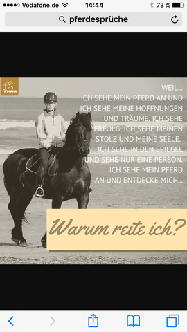 Kennt Jemand Schöne Sprüche übers Reiten Pferde