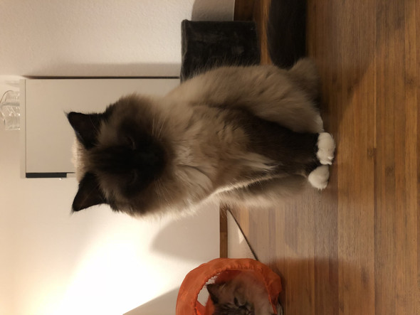 Bild zum Beitrag