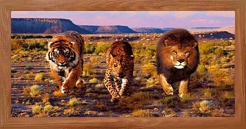 Löwe Tiger geopart - (Tiere, Tierhaltung, Wildtiere)