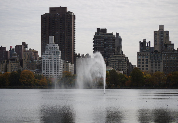 Was Kann Man Im Central Park Alles Machen Usa New York