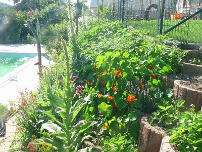 - (Garten, Stützmauer, Hanggarten)