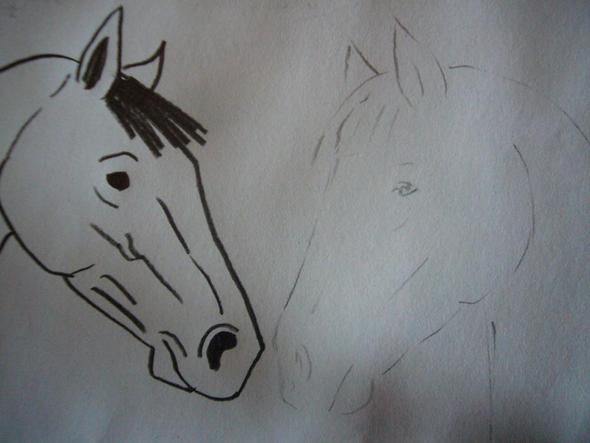 Skizze - (Pferd, zeichnen)