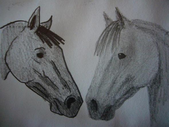Fertiges Bild - (Pferd, zeichnen)
