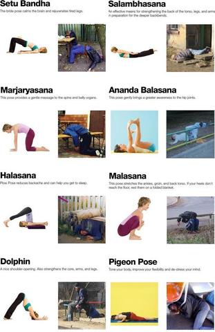 YOgaaaa - (Sport, Yoga)
