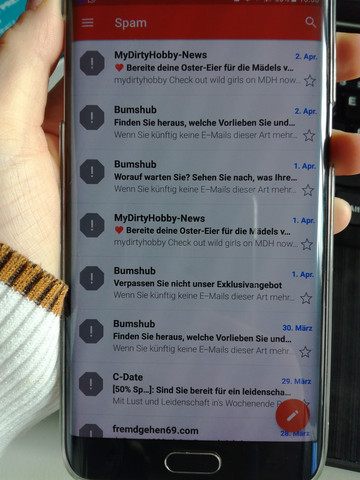 Bild zum Beitrag