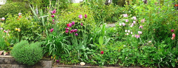 - (Tiere, Garten, Natur)