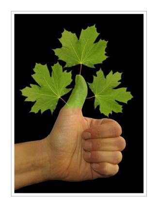 Grüner Daumen hoch und los geht`s! - (deutsch, Garten)