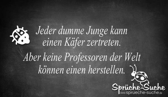 Download Dumm ist nur wer dummes tut For Android Dumm Ist Nur Wer Dummes Tut