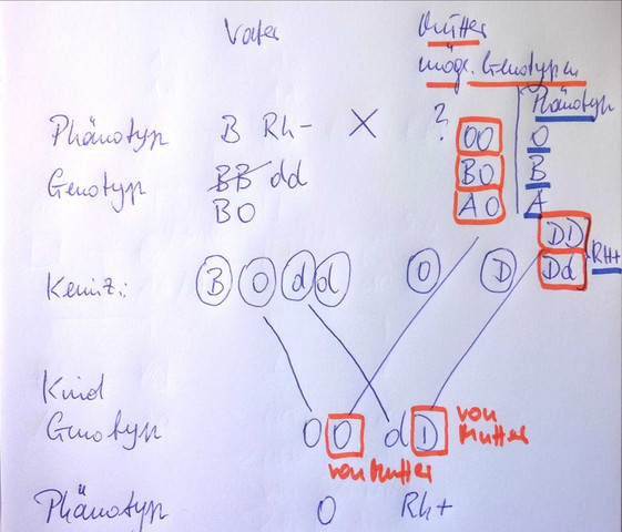 Wie Musste Das Kreuzungsschema Aussehen Wenn Der Vater Die Blutgruppe B Rh Tragt Und Das Kind Die Blutgruppe 0 Rh Tragt Biologie Bio Genetik Wie Musste Das Kreuzungsschema Aussehen Wenn Der Vater Die Blutgruppe B Rh Tragt Und Das Kind Die Blutgruppe 0 Rh Tragt Biologie Bio Genetik