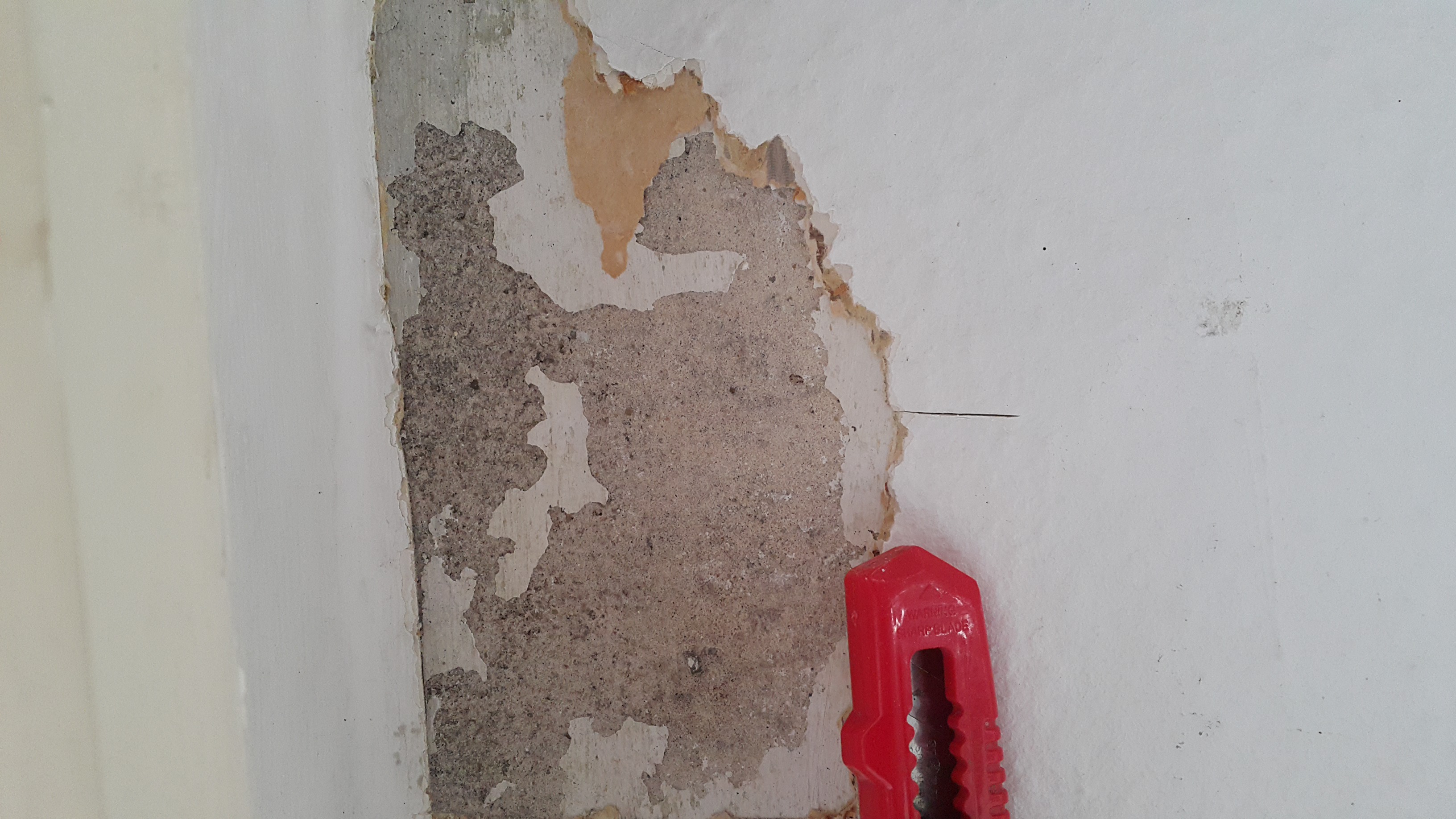Flecken an der Tapete. Ist das Schimmel? (Wand)