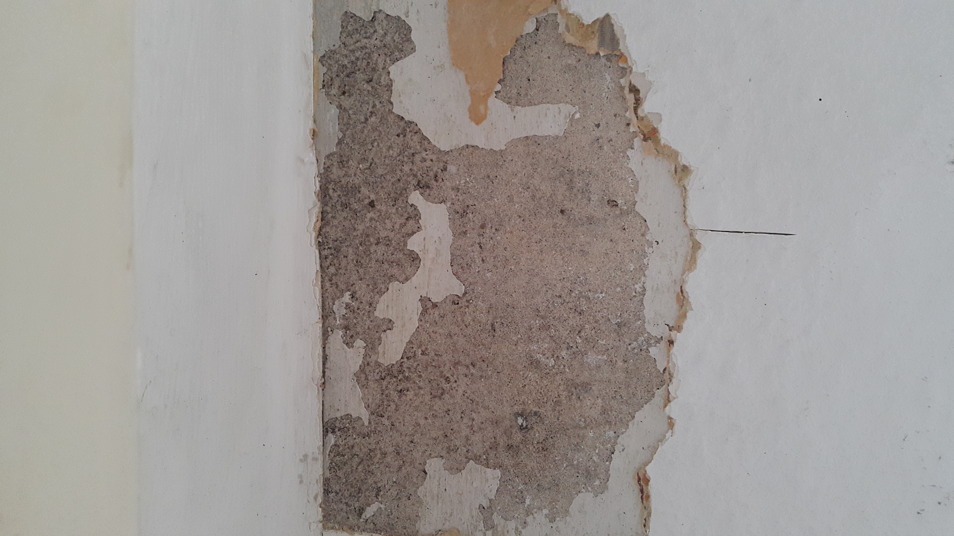 Flecken an der Tapete. Ist das Schimmel? (Wand)