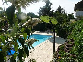 - (Garten, Pool, Eigenbau)