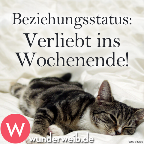 - (Spaß, Hobby, Wochenende)