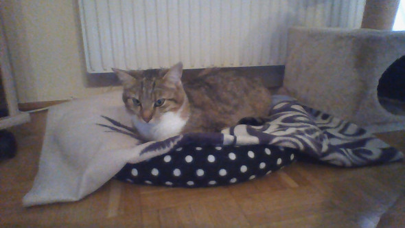 Bild zum Beitrag