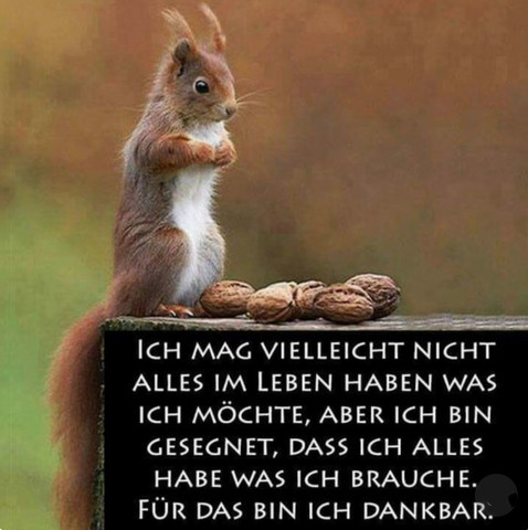 - (Psychologie, Buch, Leben)