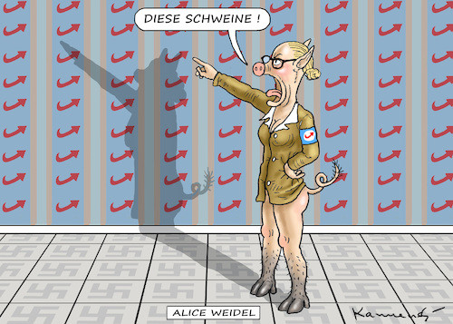 Bild zum Beitrag