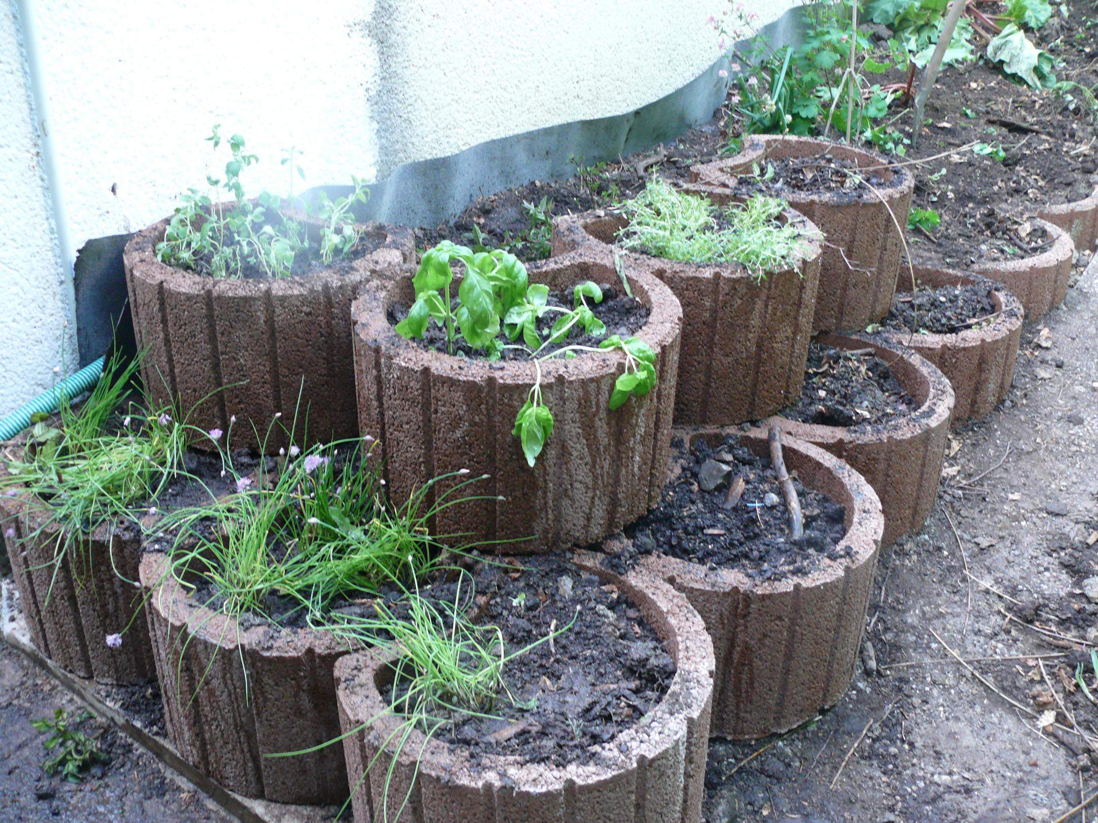 Was pflanzt Ihr in Eure "Pflanzringe"? (Pflanzen, Garten)