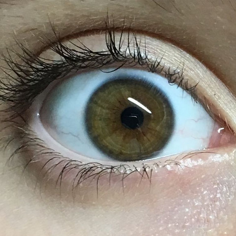 Augen selten braune grün Was Augenfarben