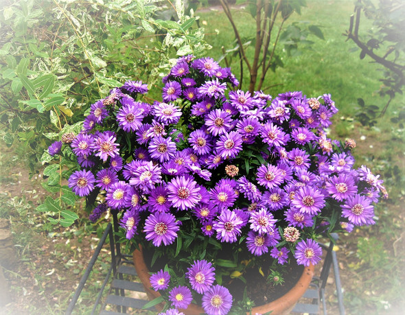 - (Sommer, Herbst, Jahreszeiten)