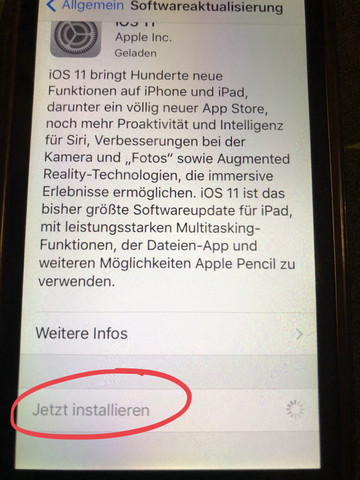 Bild zum Beitrag