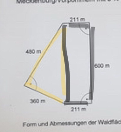 - (Schule, Mathematik, Prozentrechnung)