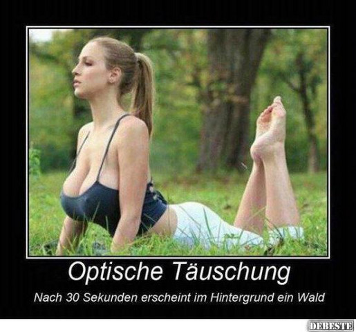 Bild zum Beitrag