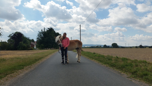 Bild zum Beitrag