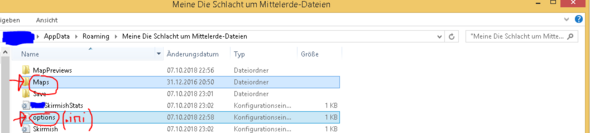 schlacht um mittelerde 2 windows 10