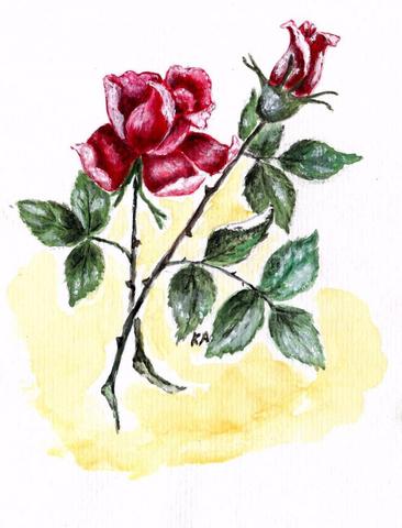 Rose,  Wasserfarbenmalerei - (Kunst, Natur, zeichnen)
