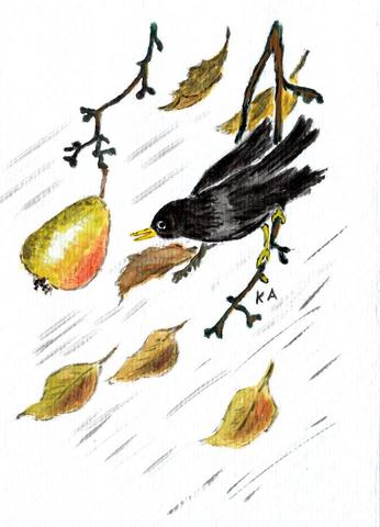 Amsel im Herbst, Wasserfarbenmalerei - (Kunst, Natur, zeichnen)