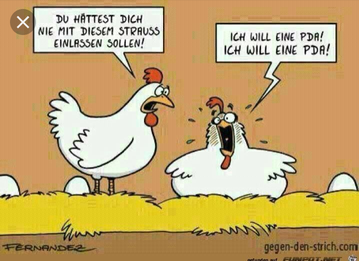 Was Tut Mehr Weh Geburt Oder Tritt In Die Eier tut eier legen weh? (Vögel)