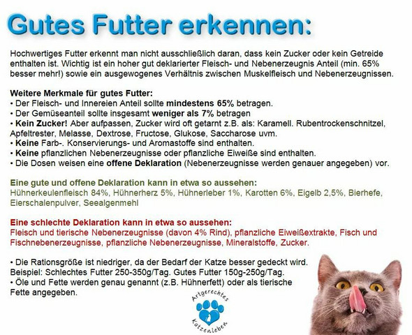 wieviel futter fur 6 monate alte kater tiere katzen