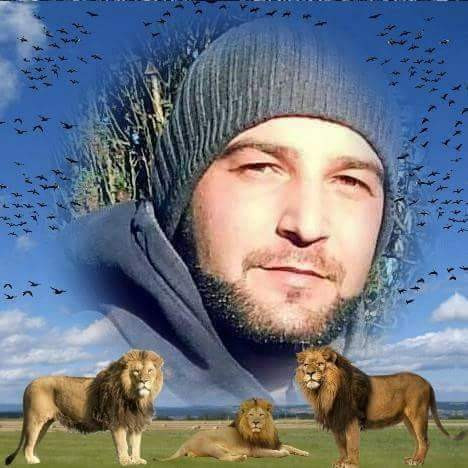 Bild zum Beitrag